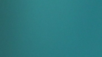 President Lopez Obrador Daily Briefing