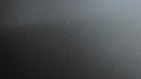 Alerta en Estados Unidos por intoxicación de mascotas con cannabis.