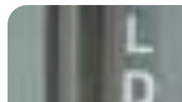 Sospechosos asesinato Alabama