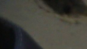 Armados con palas, mazos y varilla, trabajaron en la búsqueda de fosas.