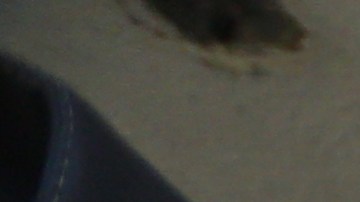 Armados con palas, mazos y varilla, trabajaron en la búsqueda de fosas.