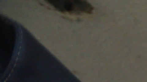 Armados con palas, mazos y varilla, trabajaron en la búsqueda de fosas.