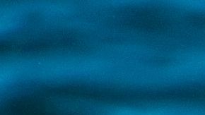 Islandia es la única que permite la caza de ballenas de aleta más grandes.