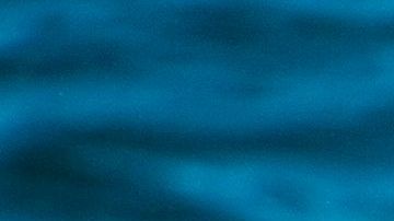 Islandia es la única que permite la caza de ballenas de aleta más grandes.