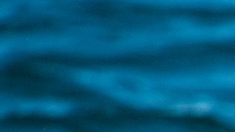 Islandia es la única que permite la caza de ballenas de aleta más grandes.