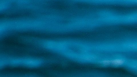 Islandia es la única que permite la caza de ballenas de aleta más grandes.