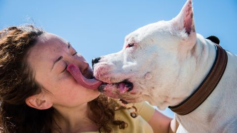 beso perro