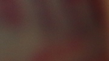 bojangles-precio-de-la-gasolina