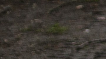 Russian Retreat From Bucha Reveals Scores Of Civilian Deaths