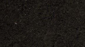 Representación artística de vida extraterrestre en Júpiter.