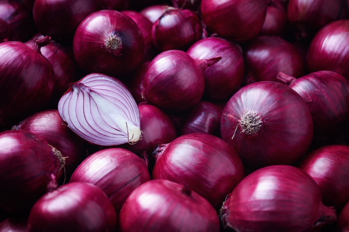 Potenciales beneficios de la cebolla en el control de la diabetes