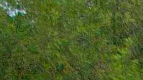 MEXICO-WOMEN-PROTEST