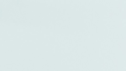 Foto de una doctora revisando una radiografía