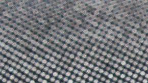 El maestro emitió el sonido por 40 minutos.