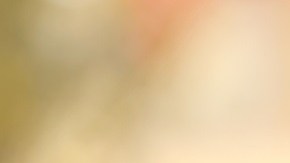 Cómo saber cuántos años tiene un perro: multiplicar por 7 no es la respuesta