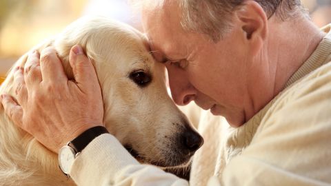 Cómo saber cuántos años tiene un perro: multiplicar por 7 no es la respuesta