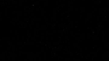 elon-musk-twitter-blue