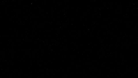 elon-musk-twitter-blue