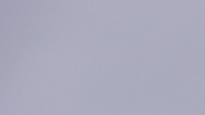 El gallo de porcelana ahora representa la resistencia ucraniana.