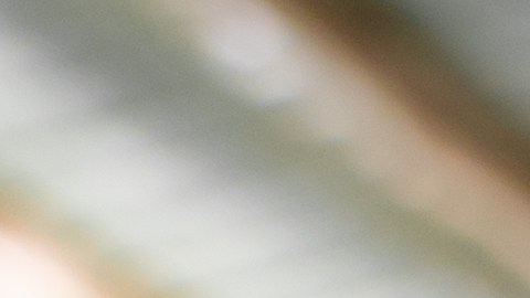 gripe-aviar-costo-huevo