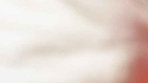 Fue descubierto un caimán bebé en la camioneta.