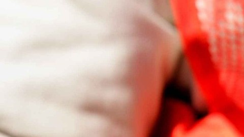 Fue descubierto un caimán bebé en la camioneta.