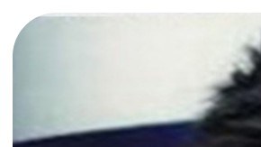 Feminicidio de Susana Posadas en Mexico