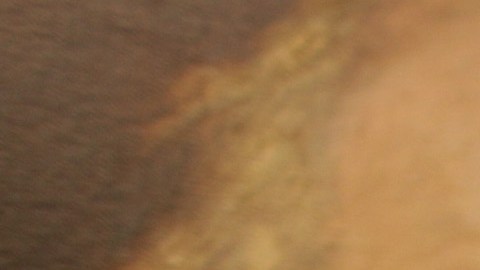 Charles Darwin