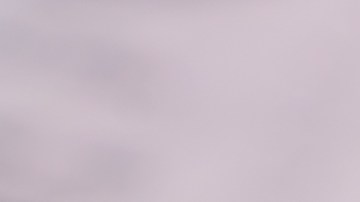 maspeth-fraude-director