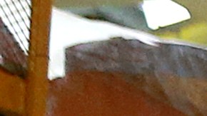 NASA Unveils New Rocket To Be Used In Artemis Moon Mission In 2024