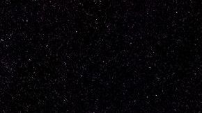 Viaje grupal, como una bandada de gaviotas.