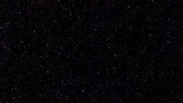 Viaje grupal, como una bandada de gaviotas.