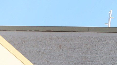 sams-club-compras-ahorro