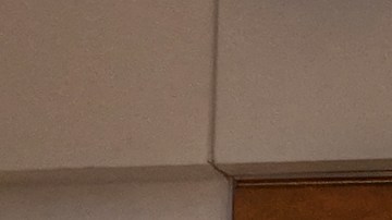 taco-bell-pizza-mexicana