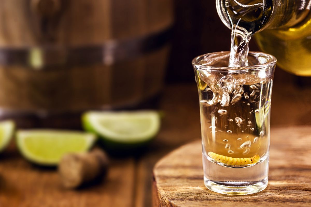 Las bebidas destiladas como el tequila y el mezcal están entre las opciones bajas en calorías.