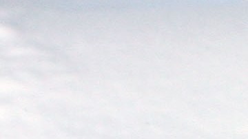 trabajo-conteo-pinguinos