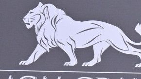 Megan Fox y Machine Gun Kelly