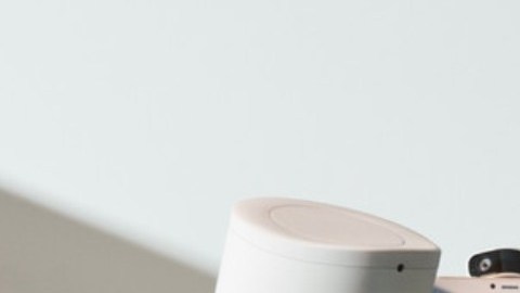 Pequeños robots harán de amigos virtuales.