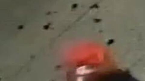 Sospechosa detenida.