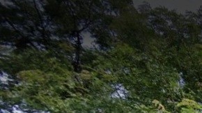 Vecindario Crown Heights, Brooklyn, NYC.