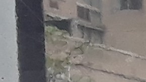 Las reglas de mascarillas se han relajado en NYC.