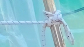 La comerciante poblana Mariela Vivar se muestra optimista con la recuperación de la Ciudad pese a los altos precios.