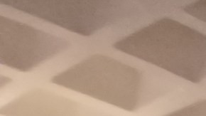 Centenares de envejecientes de la Gran Manzana celebraron con entusiasmo su "grado" de fortaleza en tiempos difíciles.