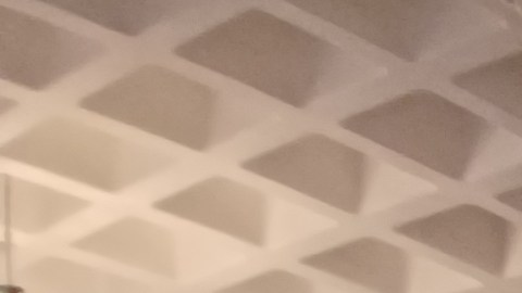 Centenares de envejecientes de la Gran Manzana celebraron con entusiasmo su "grado" de fortaleza en tiempos difíciles.