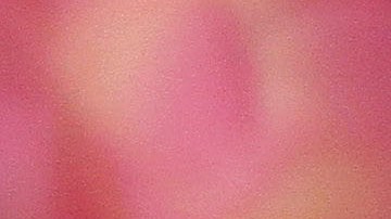 El cantante Nick Jonas con su esposa Priyanka Chopra.