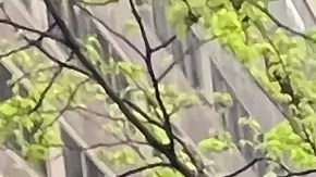 La iniciativa busca ayudar a los desamparados y quienes tengan problemas de salud mental.