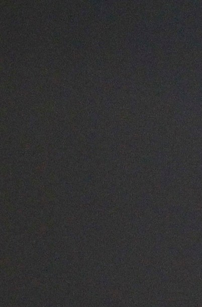 Miguel Herrera señaló que fue solo culpa de él la posible alineación indebida que presentó Tigres este sábado ante Atlas en la vuelta de las semifinales del Torneo Clausura en la Liga MX.