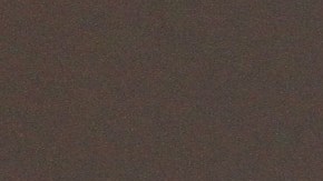 Pablo Montero, famoso cantante de origen mexicano.