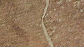 Ignacio López Tarso.