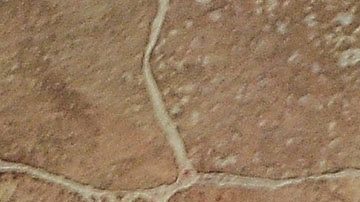 Ignacio López Tarso.